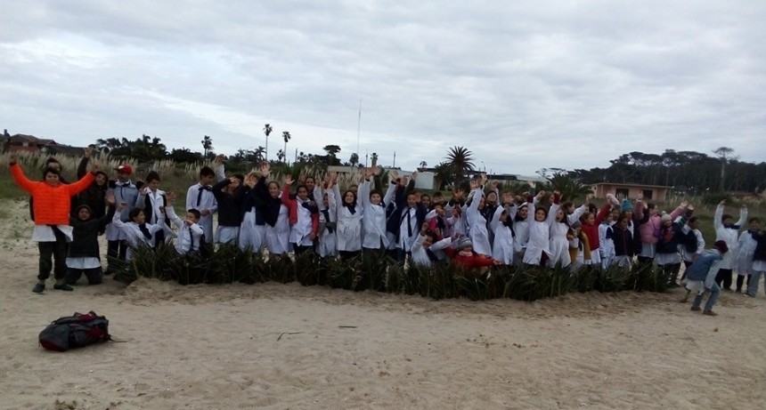 Semillando: niños de la Escuela reconstruyen las dunas