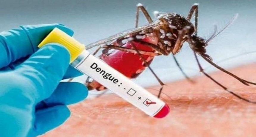 A estar atentos con el dengue