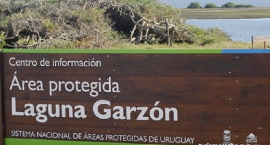 Trabajadores de DINAMA advierten por desmantelamiento de capacidades para la protección ambiental
