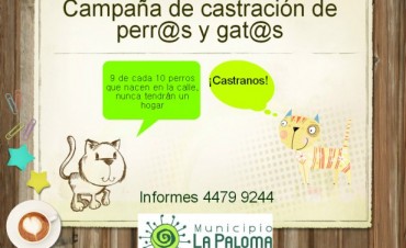 Castraciones en La Paloma