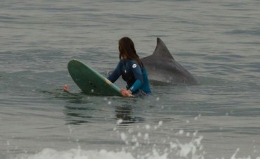 Una de delfines y surfistas