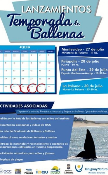 La Paloma: este sábado 30 de julio se lanza la Temporada de Ballenas
