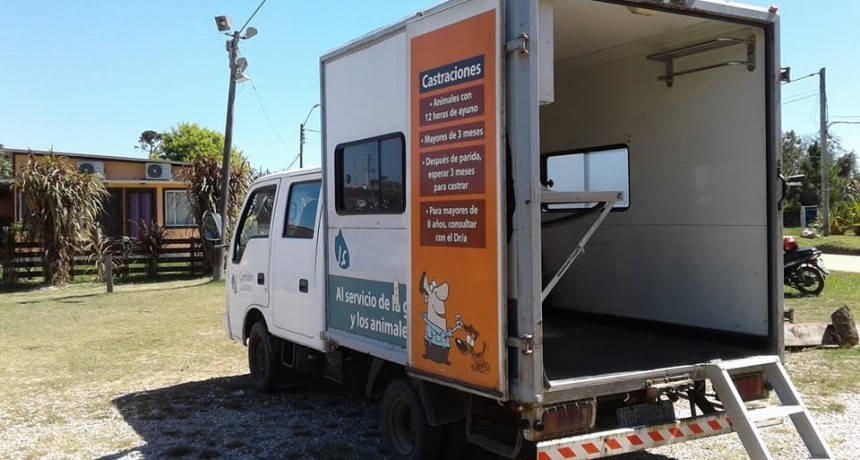 Nueva jornada de castraciones en Costa Azul