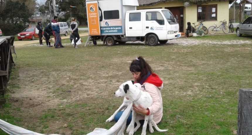 Exitosa jornada de castraciones en Costa Azul