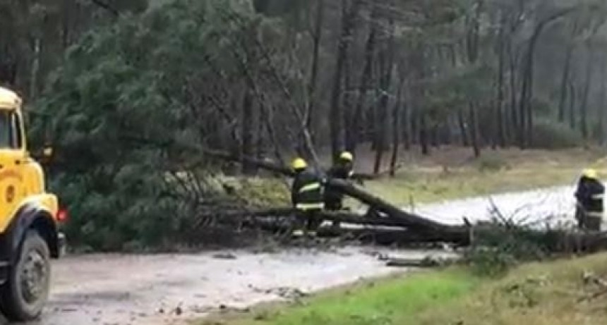 En La Paloma se registraron rachas de viento de hasta 82 km/h