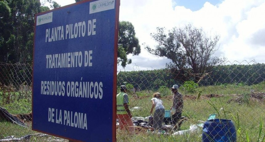 La Paloma: a partir de mañana los restos de pescado ya no irán más al vertedero