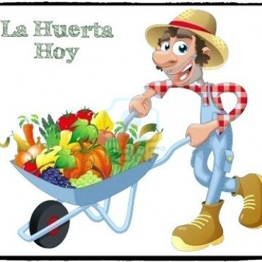 Décima parte: ¡Y la huerta va creciendo! 10 útiles consejos para su desarrollo