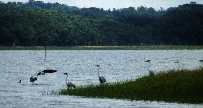 Hablemos del Plan Ambiental