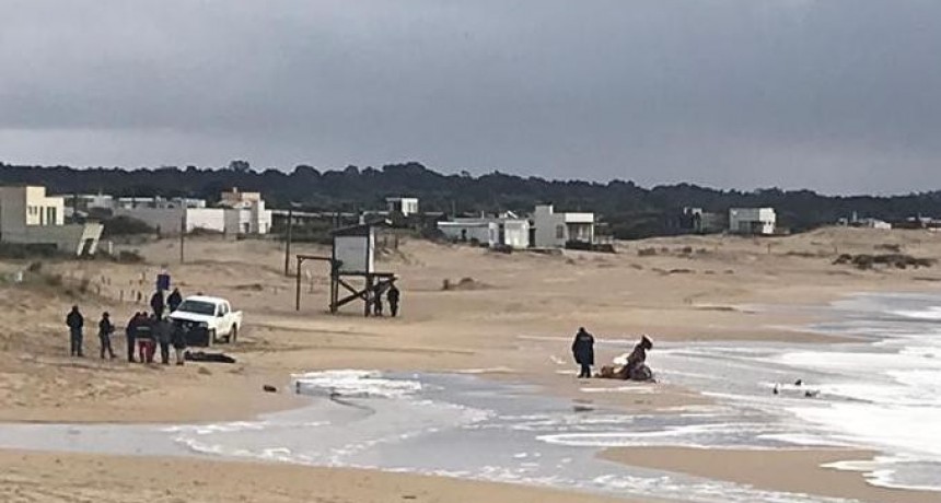 Apareció el cuerpo de Leandro Ramos 