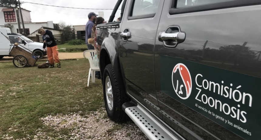 Exitosa jornada de castraciones en La Aguada