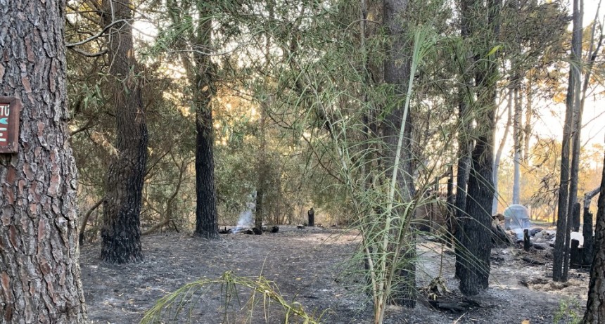 Vecinos de Santa Isabel desmienten denuncia por desmonte
