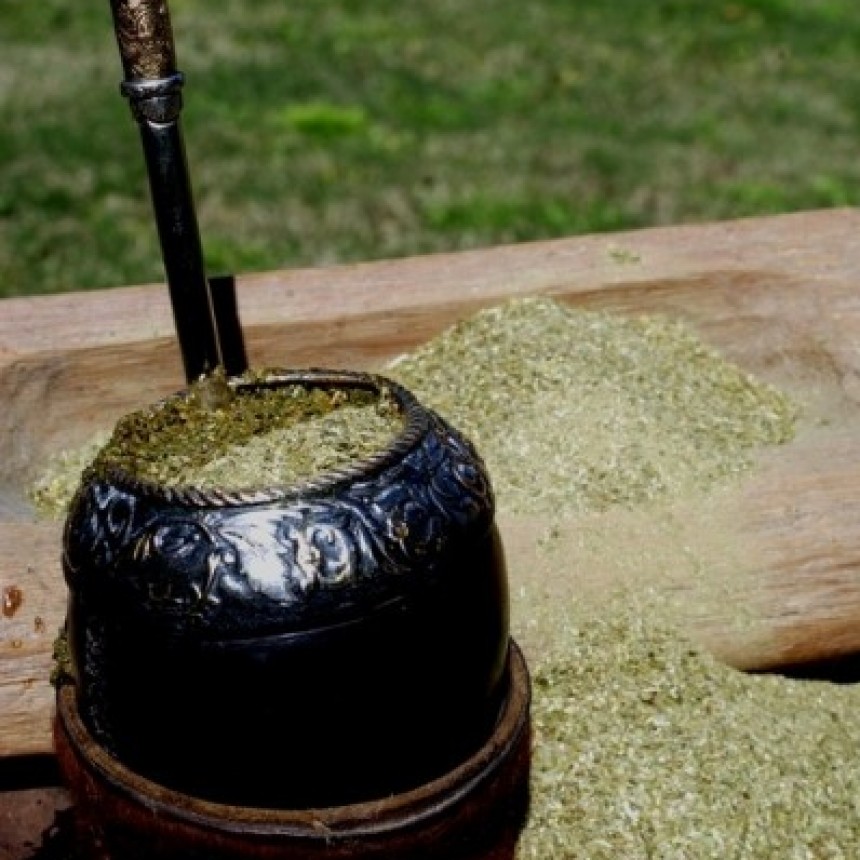 La Yerba y el Mate: conferencia y exposición en el Centro Cultural de La Paloma