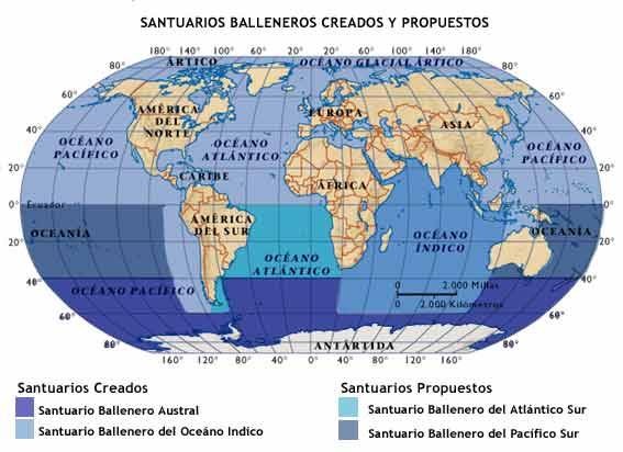 No habrá Santuario del Atlántico Sur