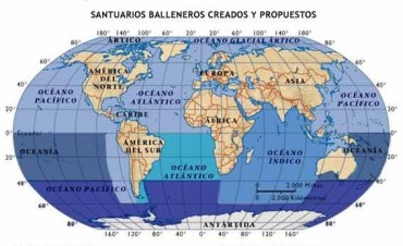 No habrá Santuario del Atlántico Sur