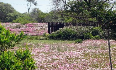 ¿Cuándo comienza la Primavera?