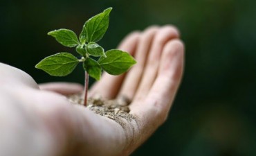 Nuevo curso sobre Biodiversidad y Conservación