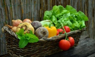 Taller de producción de alimentos orgánicos