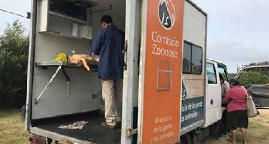 Nueva jornada de castraciones