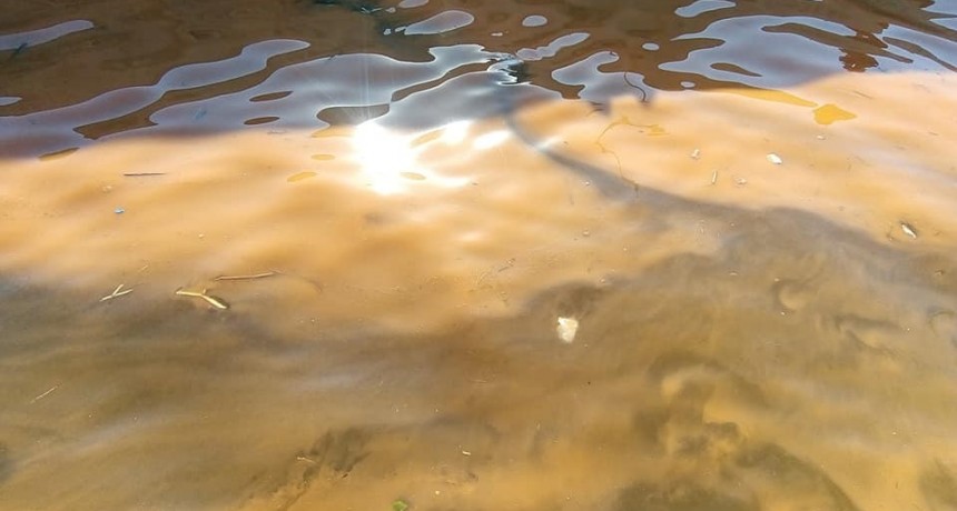 Una mancha anaranjada apareció en el Puerto de La Paloma y generó alarma