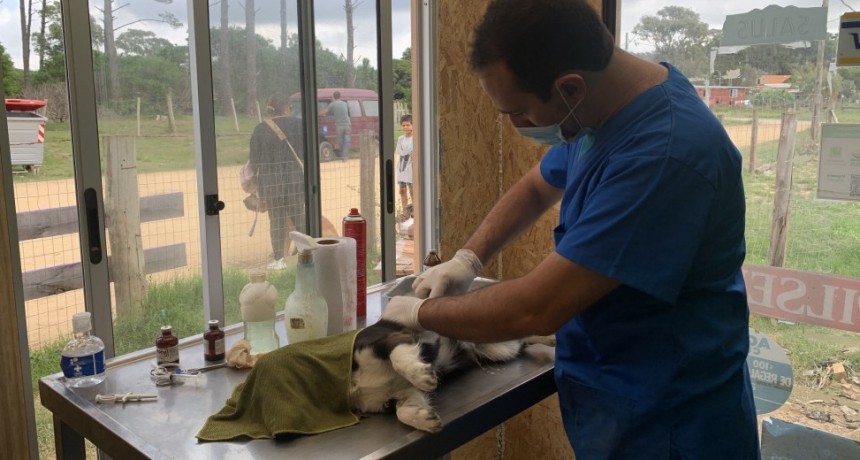 Jornada de castraciones en La Paloma