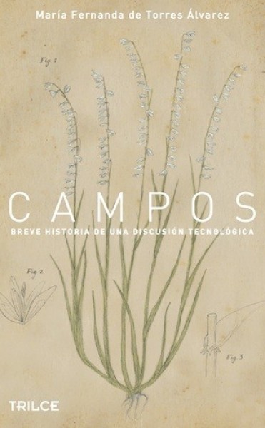 Presentan libro en Rocha