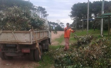 Cronograma de limpieza para La Paloma