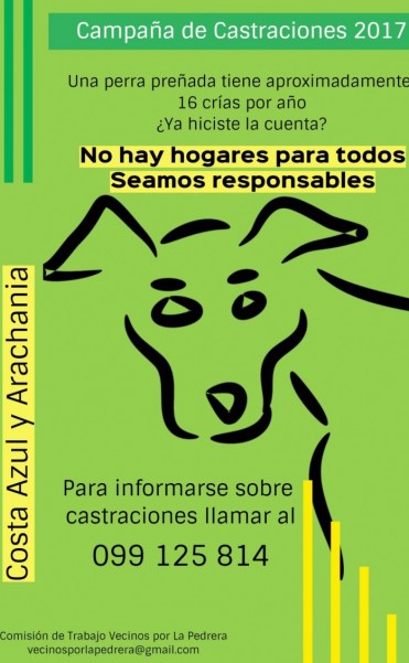 Jornada de castraciones en Arachania y Costa Azul