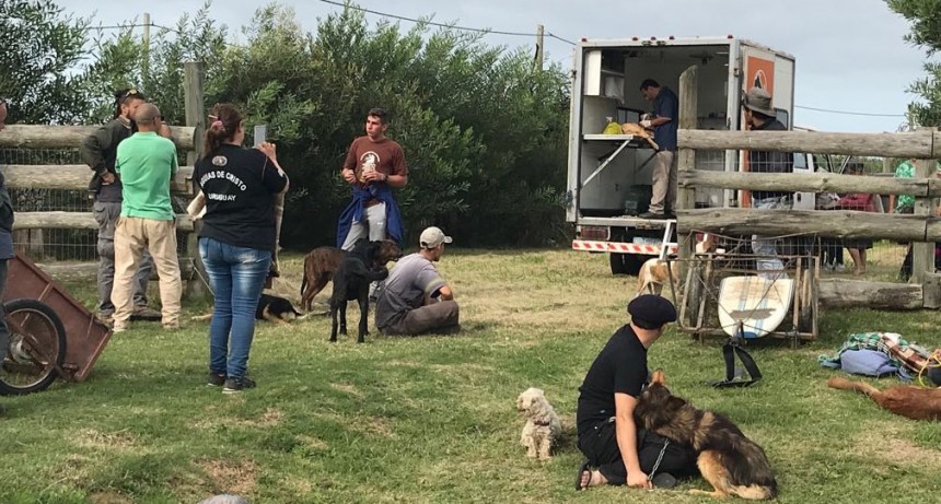 Jornada de castraciones en Barrio Parque