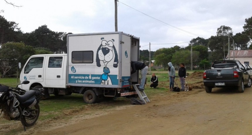 Se castraron 26 perros en Barrio Parque 