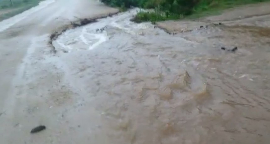 Varios inconvenientes en calles de La Paloma por el temporal 