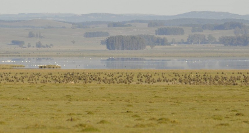 Proyecto de ecoturismo en la Laguna de Rocha