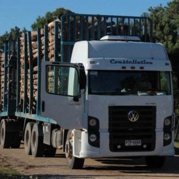 Vuelven a circular camiones con rolos al puerto