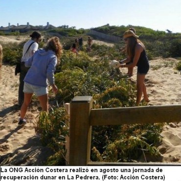 PRESENTARÁN INFORME DE LA SITUACIÓN DE LAS PLAYAS