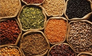 Presentan en Rocha el “Plan Nacional de Agroecología”