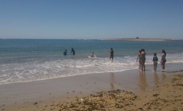 Vuelve la Escuelita del mar