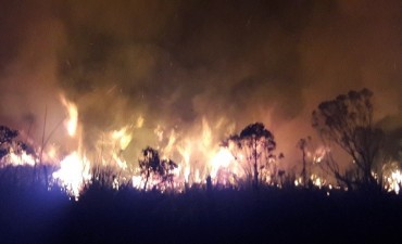 Incendio en Cabo Polonio arrasó más de 30 hectáreas de bañados