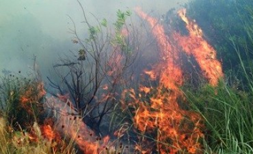 Cese del fuego