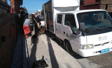 Jornada de castraciones en Barrio Parque