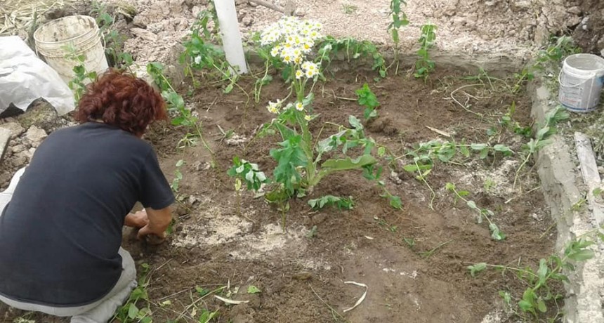 Taller de saneamiento ecológico