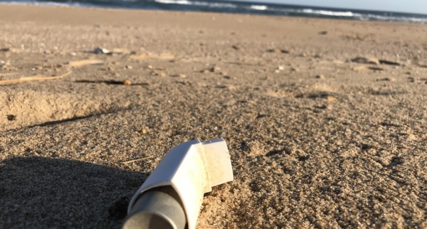 Caminata y limpieza de playas en La Paloma
