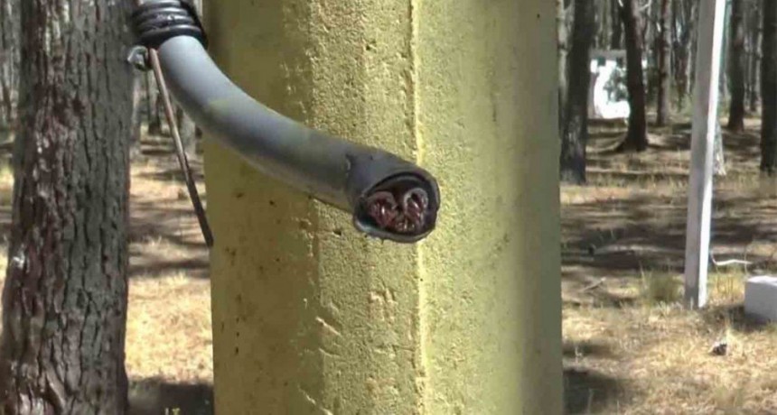 En 48 horas, ladrones robaron 800 metros de cable que dejaron a vecinos sin luz