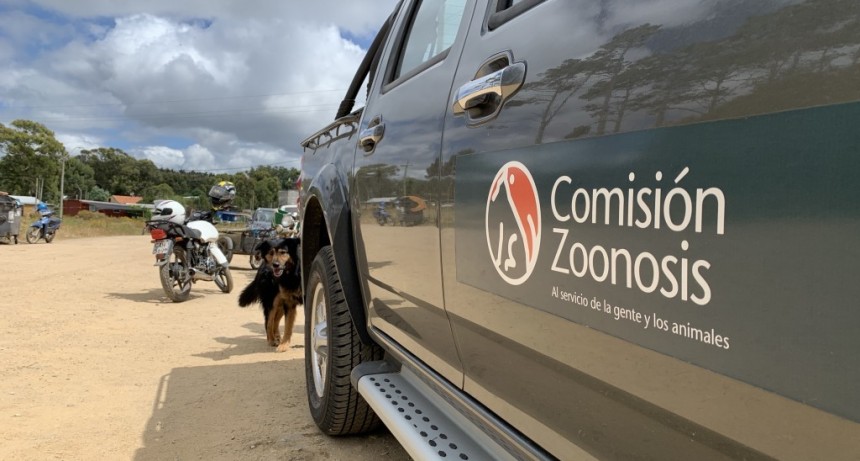 Se viene la última jornada de castraciones del 2020