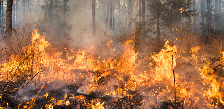 Comienza prohibición de fuegos y quemas en todo el territorio nacional