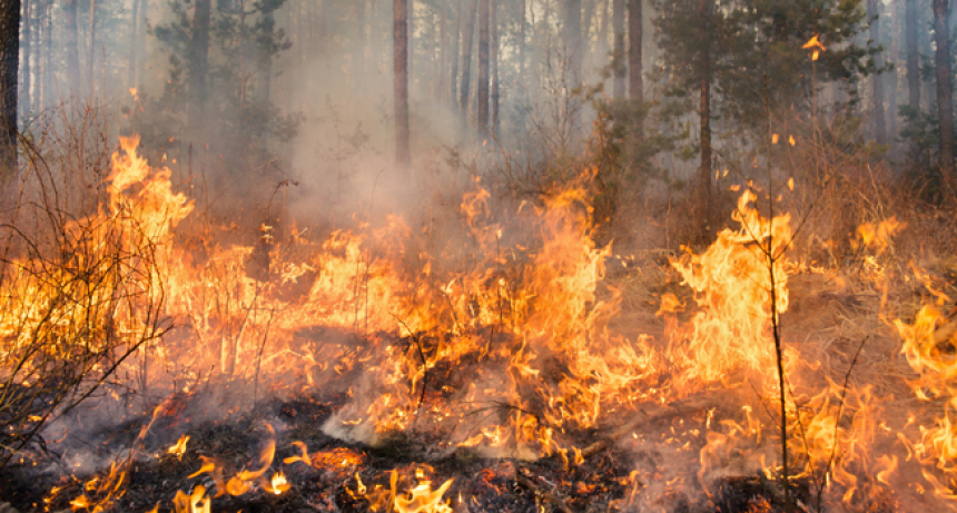 Comienza prohibición de fuegos y quemas en todo el territorio nacional