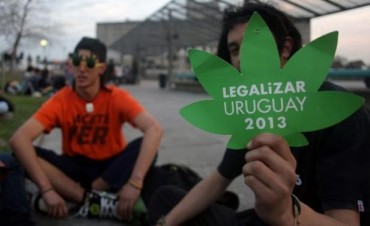 YA ES LEY LA REGULARIZACIÓN DE LA MARIHUANA 