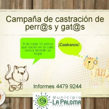 EXITOSO RESULTADO DE LA CAMPAÑA DE CASTRACIÓN