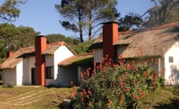 Piden que el Intendente anule la cesión del camping La Aguada al Pit-CNT