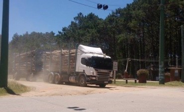 Siguen pasando camiones con rolos con destino al Puerto de La Paloma