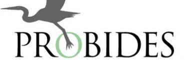 Probides solicita administrativo contable