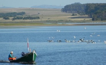Programa de Voluntariado en Laguna Garzón
